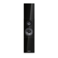 Audio Physic Classic On-Wall