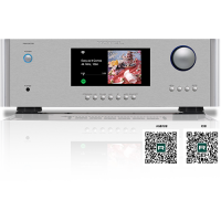 Rotel RAS-5000 Netzwerkreceiver Silber