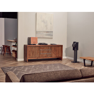 Bowers & Wilkins Formation Audio #1
