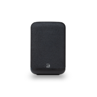 Bluesound Pulse Flex P130 - Streaming-Lautsprecher