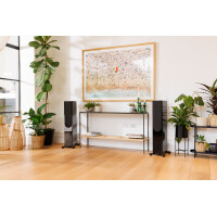 Monitor Audio Silver 300 7G Limited Edition Metallic Black